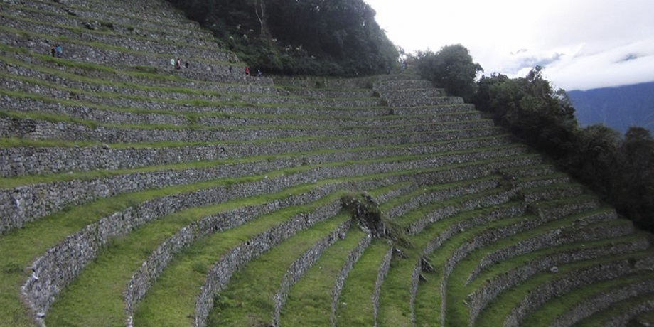 Camino Inca